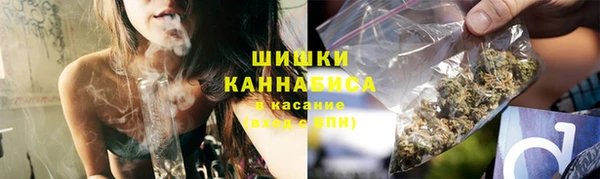 дживик Саяногорск