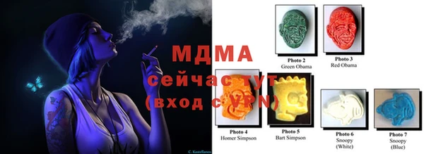 индика Вязники