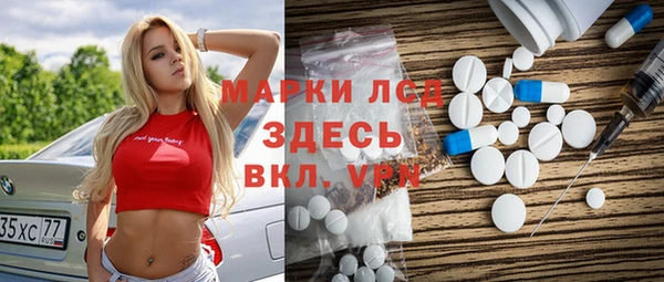 индика Вязники