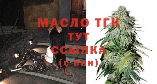 индика Вязники