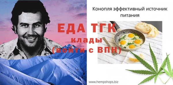 дживик Вязьма